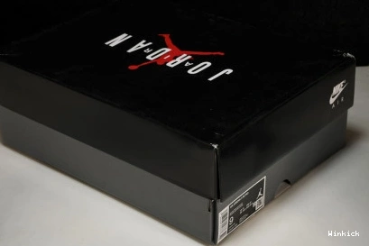 Air 8 Jordan 305381-062 “Playoff" 1101